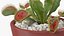 3D venus flytrap plant pot model
