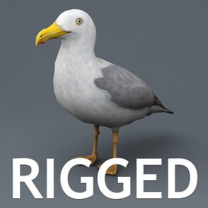 Lowpoly rigged seagull