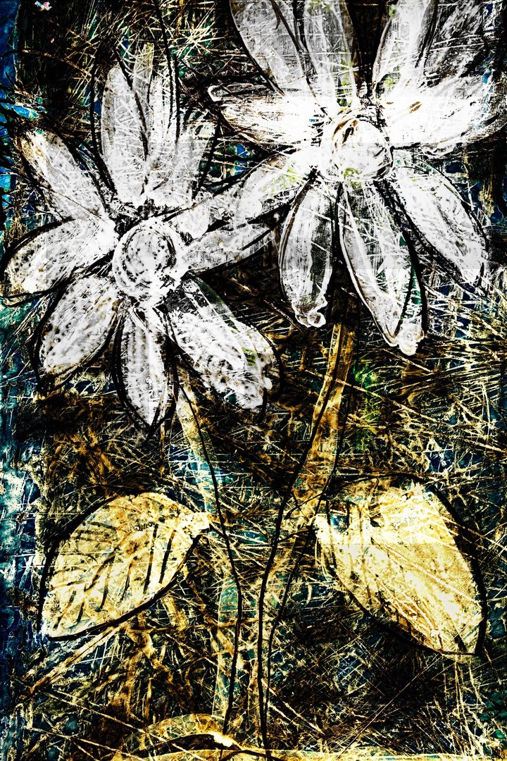 flower painting 35mm 3d model https://p.turbosquid.com/ts-thumb/XF/aDaD2Z/gGEgc42J/floweraz00009/jpg/1326560956/1920x1080/fit_q87/ead93d644bbe132a2091aa6d11f1e73c42e18ff3/floweraz00009.jpg
