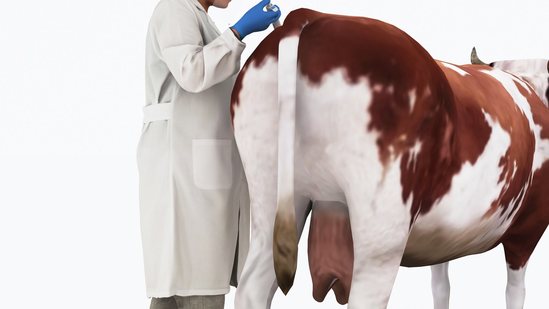 3D Veterinarian 4K Model - TurboSquid 2377104