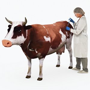 3D Veterinarian 4K model
