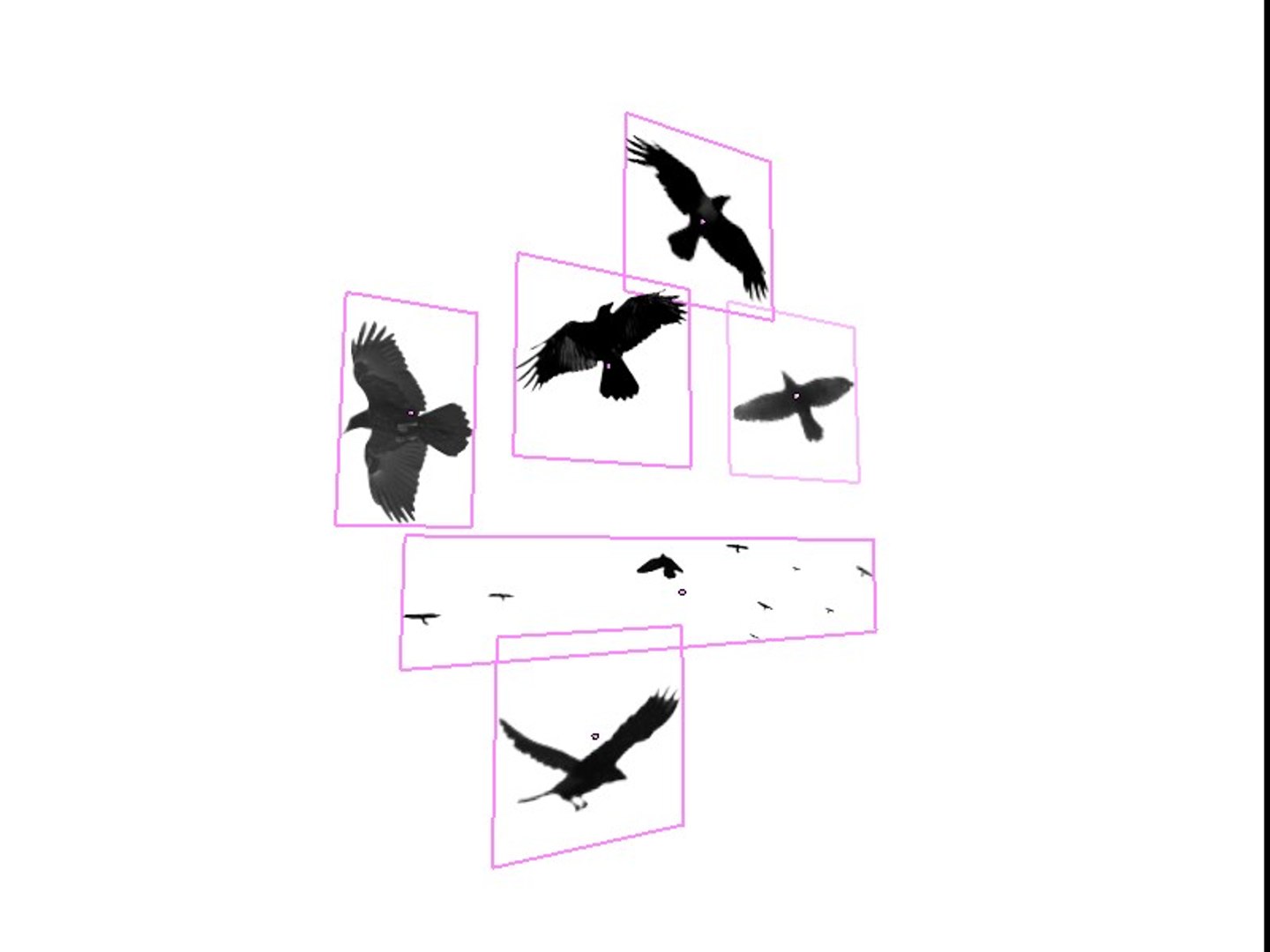 6 crows blend