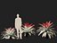 Alcantarea imperialis - Giant Bromeliad