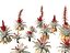 Alcantarea imperialis - Giant Bromeliad