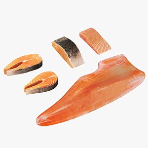 Salmon Meat Parts 3D model