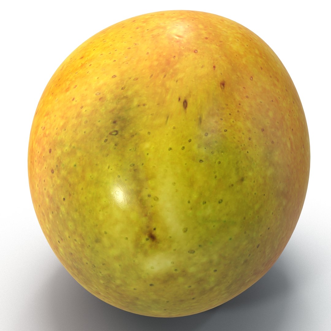 mango 5 3d 3ds https://p.turbosquid.com/ts-thumb/XF/kJfIVJ/Txud9PdI/mango5_14/jpg/1402680760/1920x1080/fit_q87/d19e2fa9f4ab45f24d8bdec30406e632c5ae11bc/mango5_14.jpg