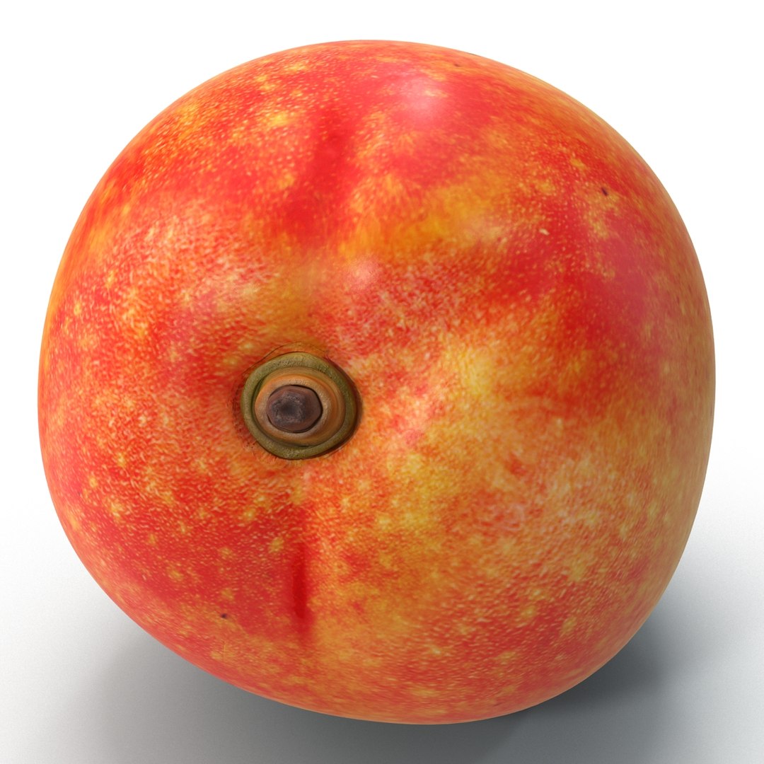 mango 5 3d 3ds https://p.turbosquid.com/ts-thumb/XF/kJfIVJ/Y8PssoGQ/mango5_15/jpg/1402680761/1920x1080/fit_q87/95f2b03139f5dd0d5583a49226f55038c621a1a7/mango5_15.jpg