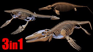 Extinct Aquatic Reptiles