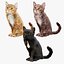 Progetto Cats Animated UNREAL più rig base Maya