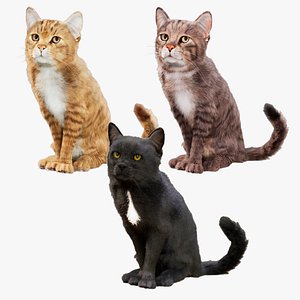 Cats Animated UNREAL project plus Maya base rig