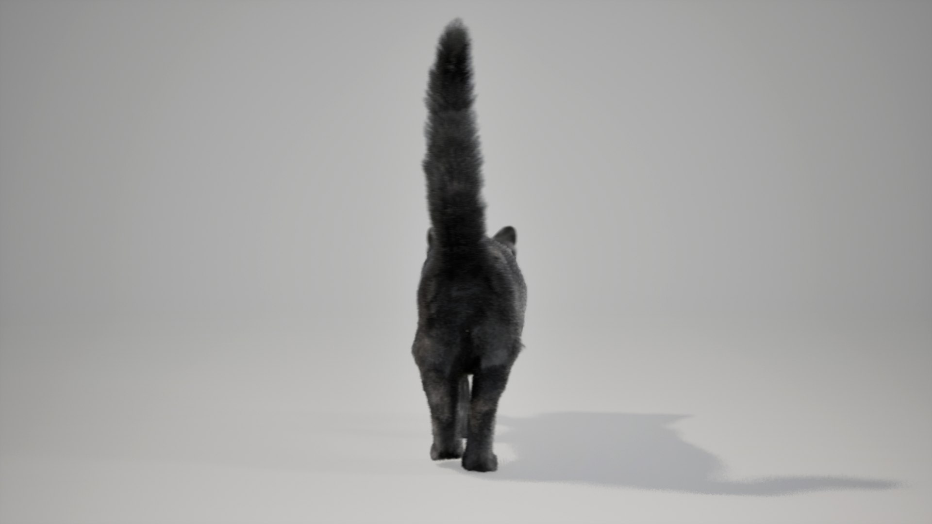 Cats  Animated UNREAL project plus Maya base rig 3D model https://p.turbosquid.com/ts-thumb/XF/rKmsCU/Mt/1/jpg/1732596796/1920x1080/fit_q87/7844cdd96aad55e7ec711618ccc96a3746171582/1.jpg