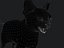 Progetto Cats Animated UNREAL più rig base Maya
