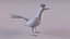 Roadrunner 3D model