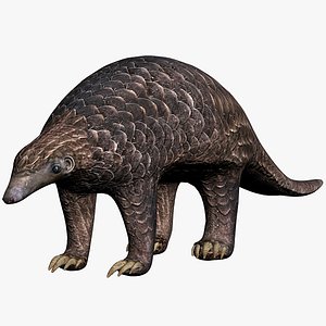 Pangolin New