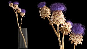 3D model Beautiful bouquet of thistle dried flowers in a glass vase 290