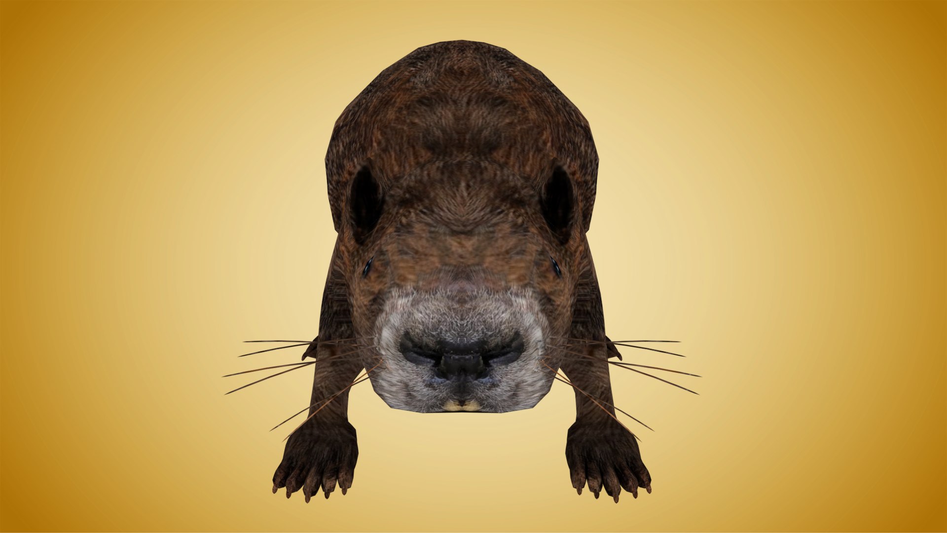 Beaver 3D - TurboSquid 1329930