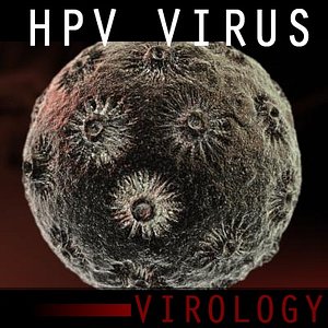 human papillomavirus virus 3d model