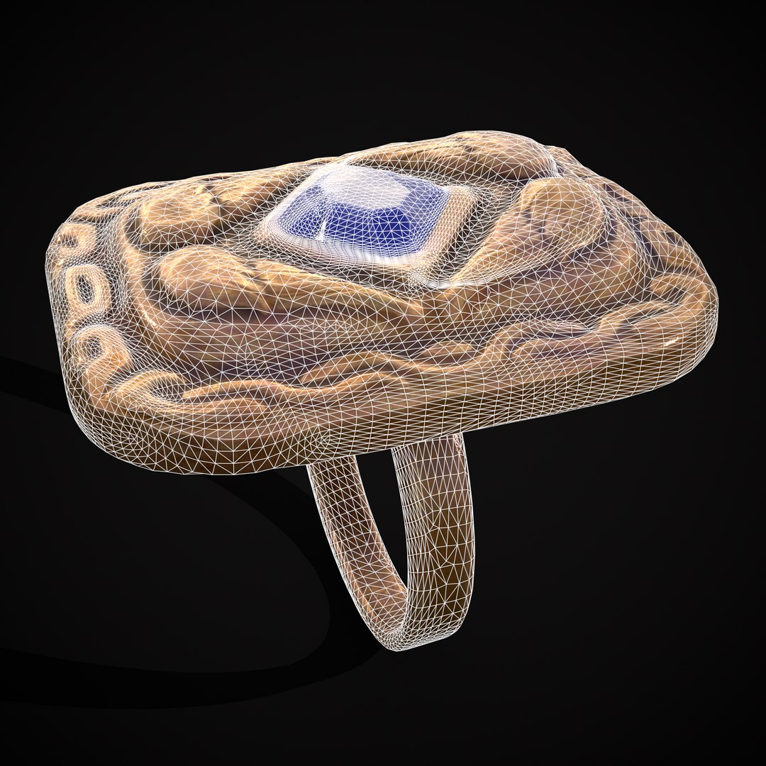 Medieval Angel Wing Ring 3D Model - TurboSquid 2034978
