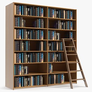 Wooden Bookshelf Furniture with Library Ladder 3D model