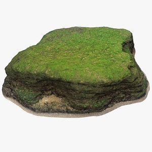 Limestone with Seaweed 2