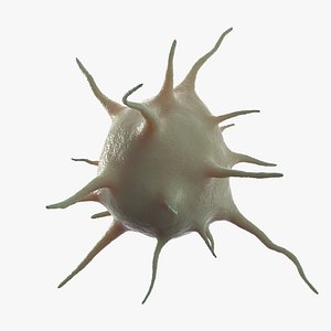Platelet Thrombocyte 3