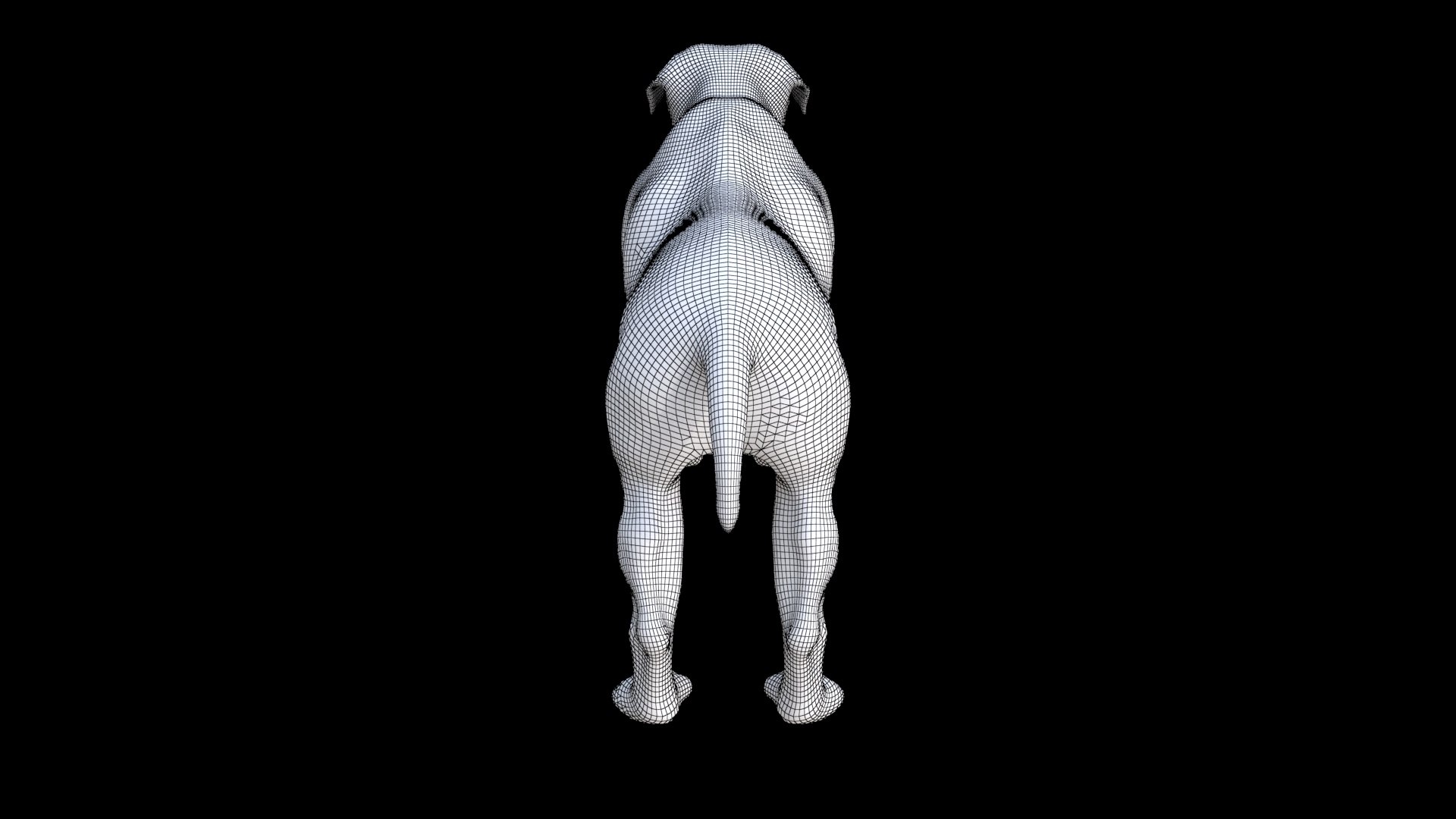 Rottweiler 3D Model - TurboSquid 2333765