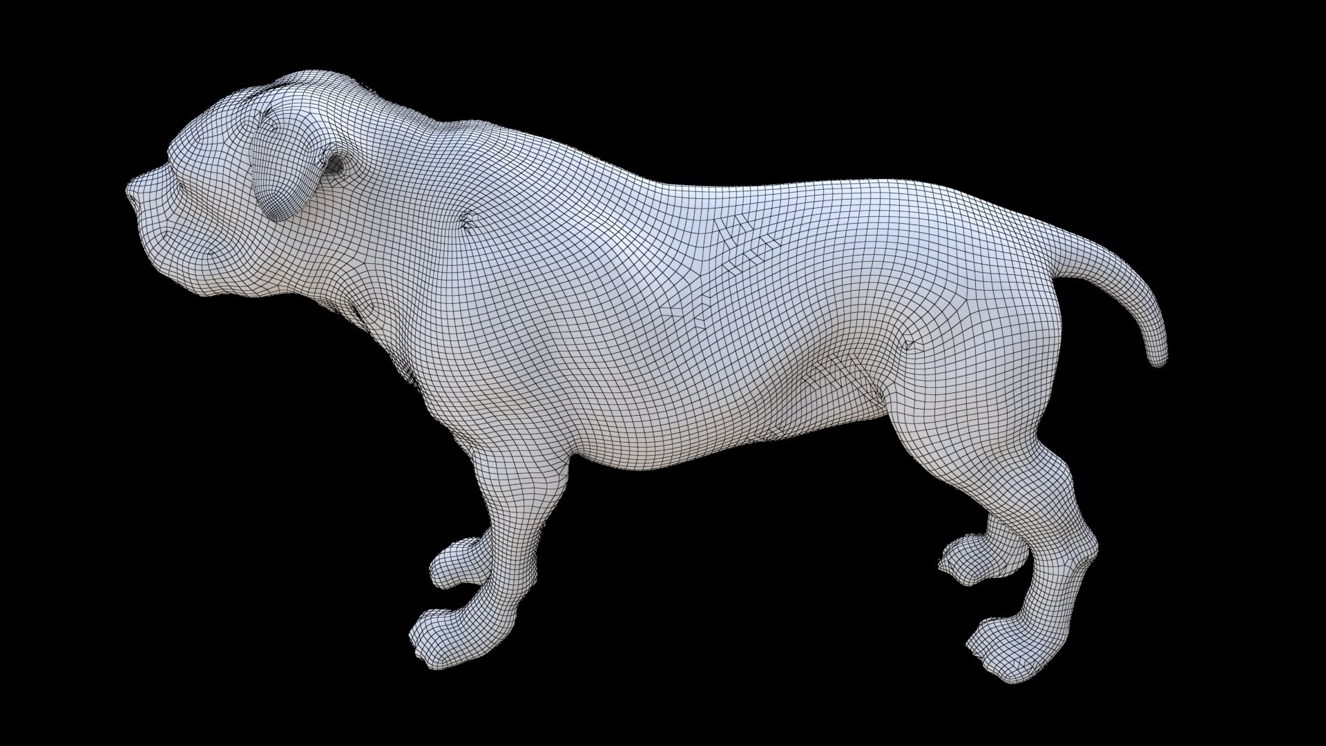 Rottweiler 3D Model - TurboSquid 2333765