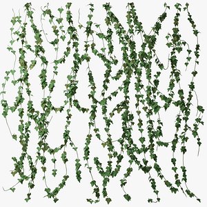 Ivy wall 01