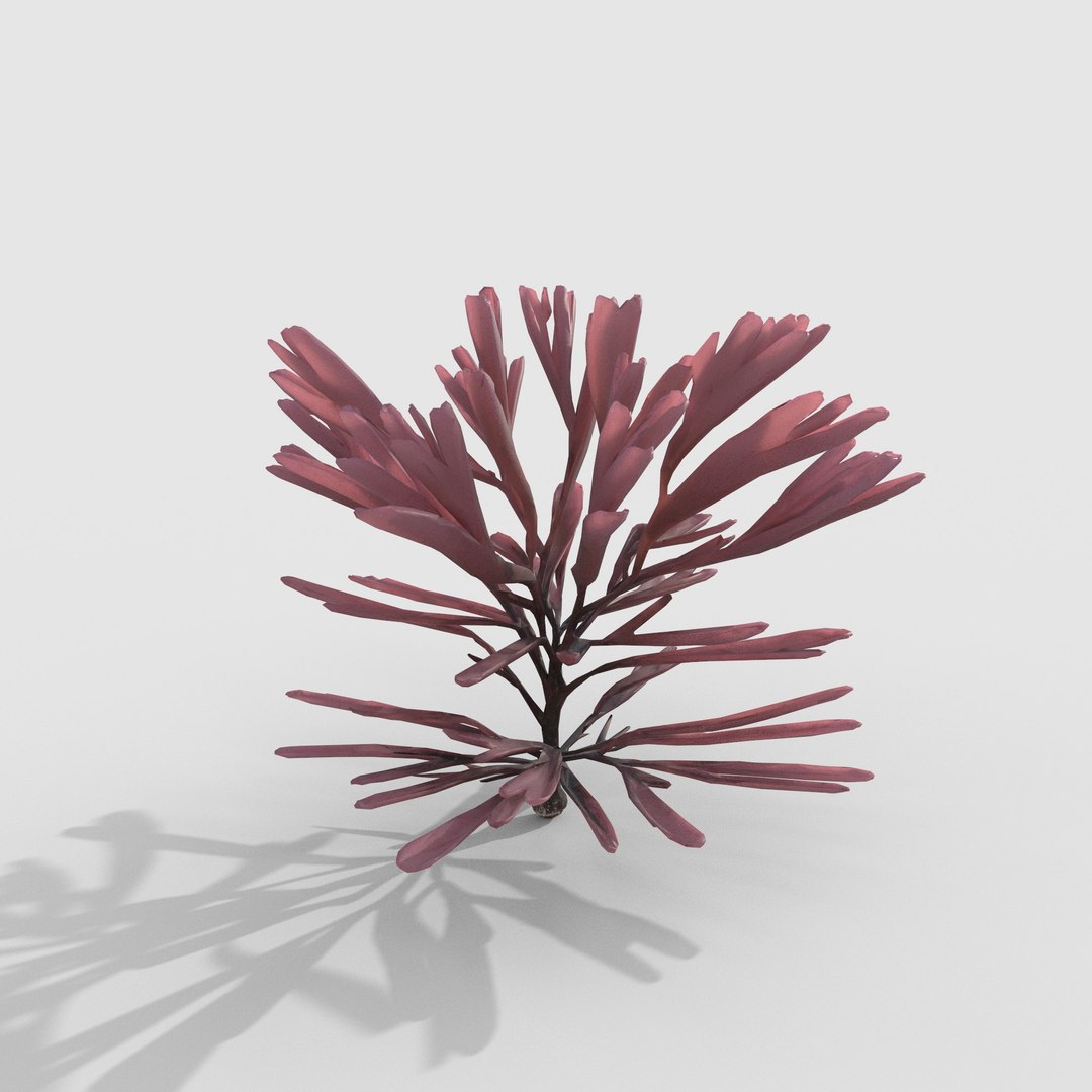 3D Seaweed V12 https://p.turbosquid.com/ts-thumb/XH/7ui4Ta/9D/4/jpg/1776497625/1920x1080/fit_q87/d3ddb63d87f827edf74fe63ebdc75e10e171ebd3/4.jpg