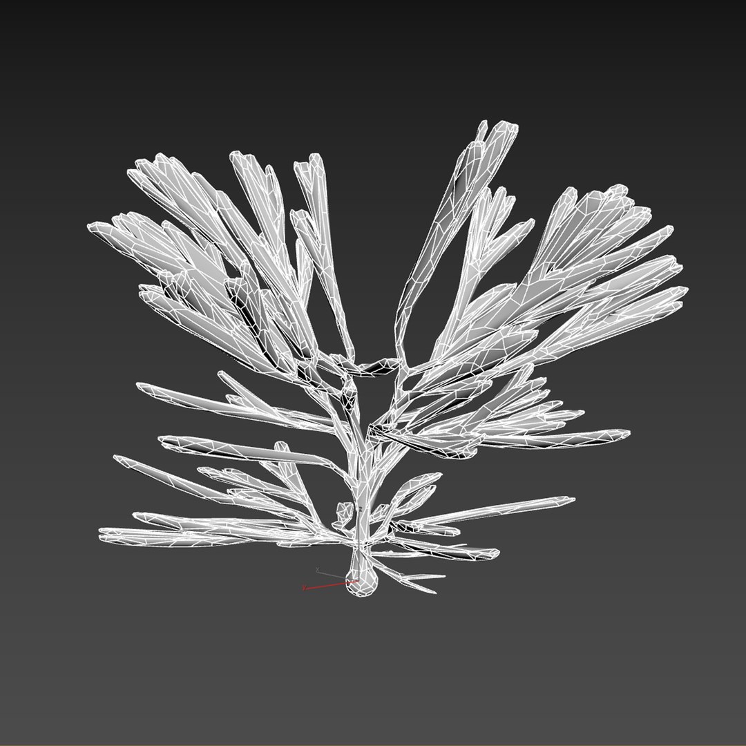 3D Seaweed V12 https://p.turbosquid.com/ts-thumb/XH/7ui4Ta/l7/wire/jpg/1776497624/1920x1080/fit_q87/11f644467230b69d9af7935fbd22bcb3247b93b1/wire.jpg