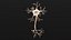 Neurone 3