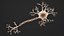 Neurone 3