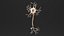 Neurone 3