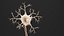 Neurone 3