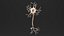 Neurone 3