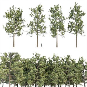 Pine Tree STL Models for Download | TurboSquid