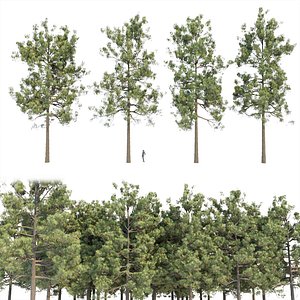 pine trees collection vol 19-3dmodel