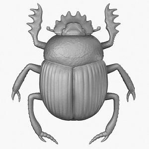 3D Scarab beetle 3D print