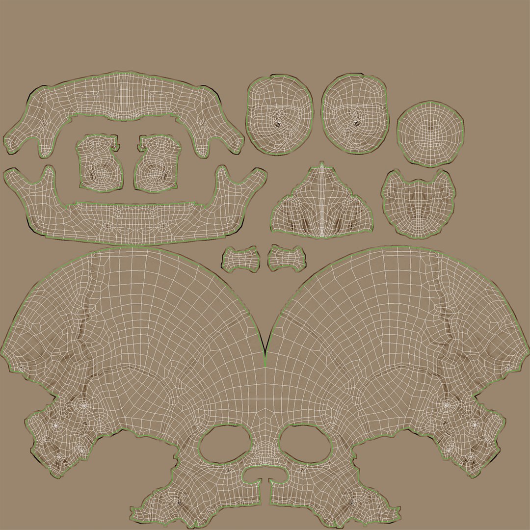 female skeleton human skull 3d model https://p.turbosquid.com/ts-thumb/XH/MVjHjk/KPwF6dGa/femaleskeletoncollection3dmodels100/jpg/1464948833/1920x1080/fit_q87/c6ad825b1dbfc07d5c19214d7f1f3fce0ce13746/femaleskeletoncollection3dmodels100.jpg
