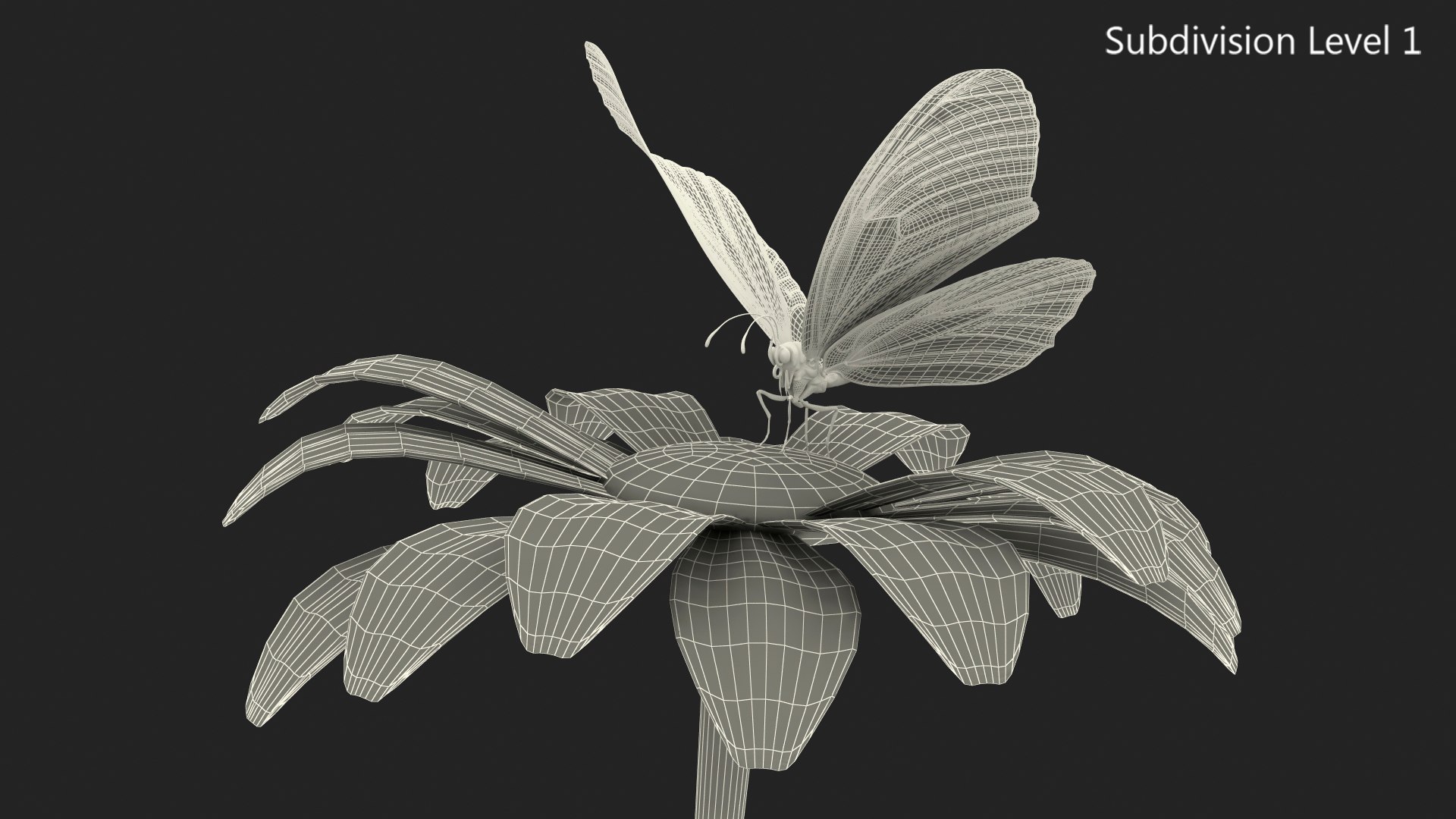 3D monarch butterfly takes swinging https://p.turbosquid.com/ts-thumb/XH/O1fxDP/FP6OSCKZ/animatedmonarchbutterflytakesofffromswingingflowerwithfurriggedmb3dmodel015/jpg/1573094007/1920x1080/fit_q87/c3d493e4750c7fc70a2bc9f04b7c3ece943b5c52/animatedmonarchbutterflytakesofffromswingingflowerwithfurriggedmb3dmodel015.jpg