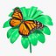 动画的帝王蝶从带有摇摆索具的摇摆花朵中起飞