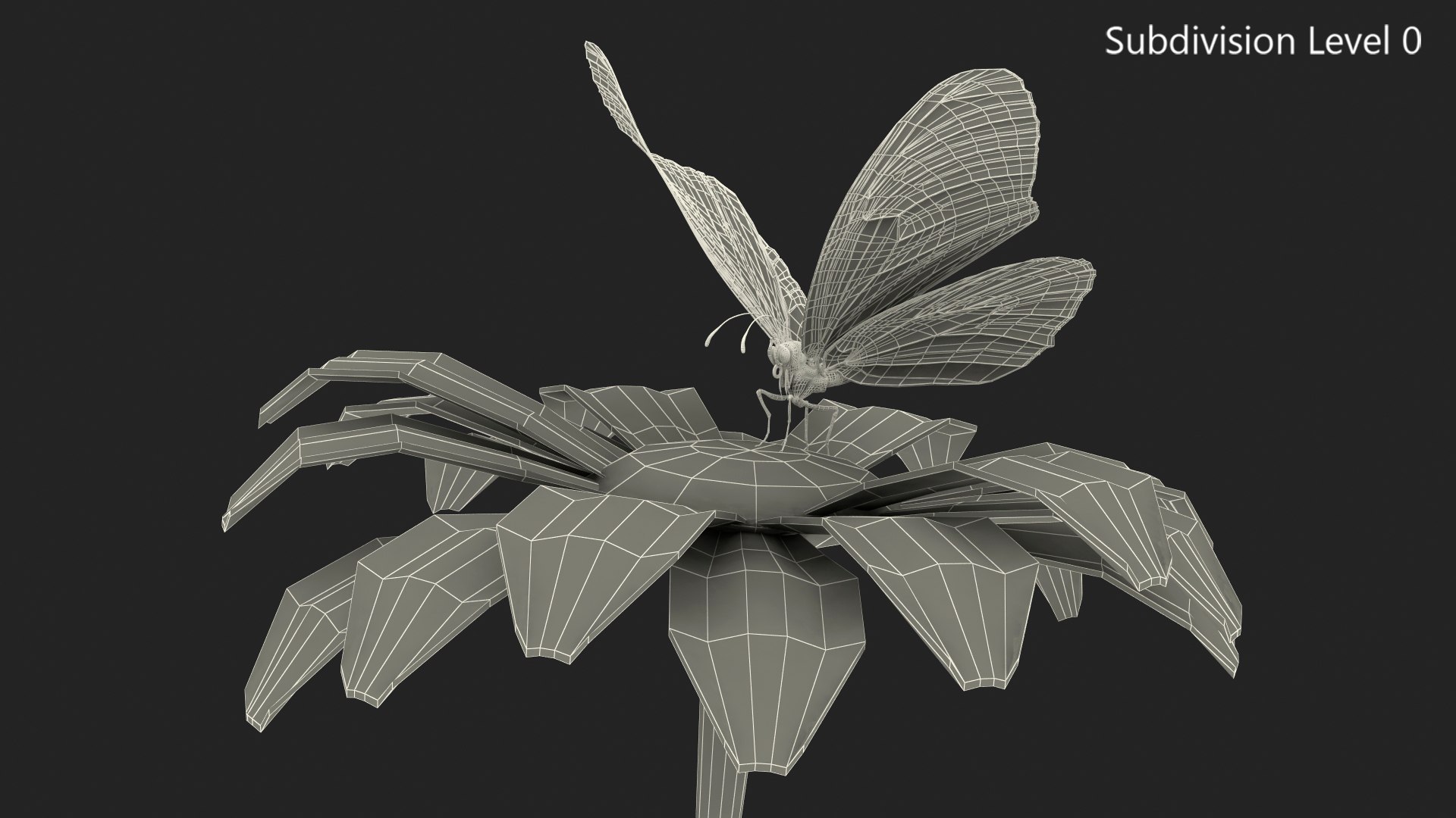3D monarch butterfly takes swinging https://p.turbosquid.com/ts-thumb/XH/O1fxDP/nXiX0iTt/animatedmonarchbutterflytakesofffromswingingflowerwithfurriggedmb3dmodel014/jpg/1573094002/1920x1080/fit_q87/2db4c38a2e71e68a887d45ca369f437d1140f690/animatedmonarchbutterflytakesofffromswingingflowerwithfurriggedmb3dmodel014.jpg
