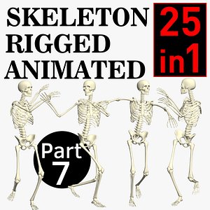 3D model Skeleton Rigged 3D Animations Set 7 - 25 in 1