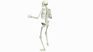 3D model Skeleton Rigged 3D Animations Set 7 - 25 in 1