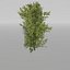 3D plants pack model