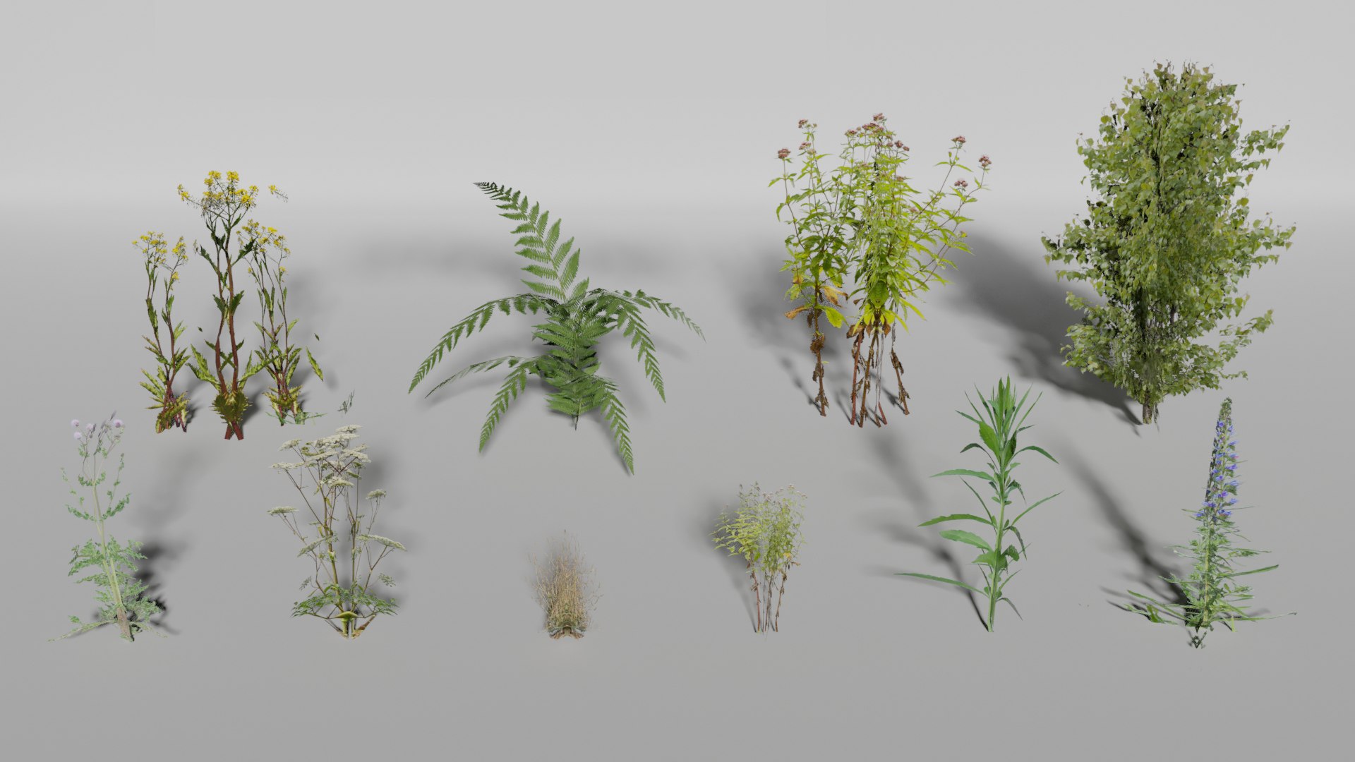 3D plants pack model https://p.turbosquid.com/ts-thumb/XH/Tk6qHQ/GcUaottL/1turbosquid/jpg/1599822686/1920x1080/fit_q87/65f7849c63ac860929b0b39451734648c3534201/1turbosquid.jpg