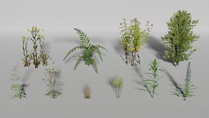 3D plants pack model