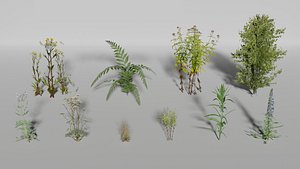 Plants Pack