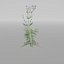 3D plants pack model