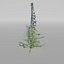 3D plants pack model